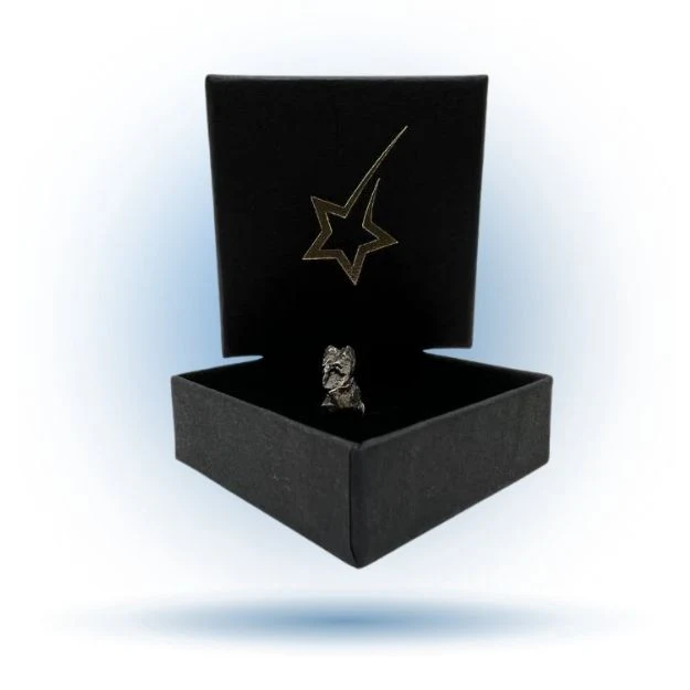 frammento-meteorite-scatola